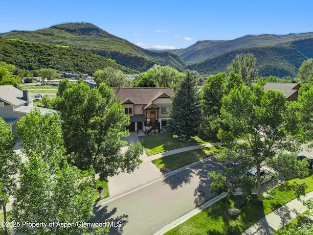 1913 Colorow Rd, Glenwood Springs, CO 81601 - mountain view