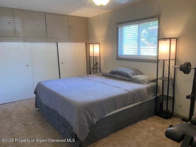 342 Elm Ave, Rifle, CO 81650 - photo 14