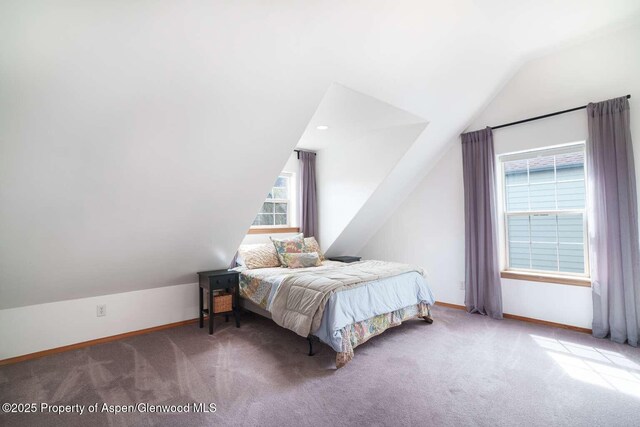 311 Sopris Cir, Basalt, CO 81621 - bedroom with lofted ceiling and carpet floors