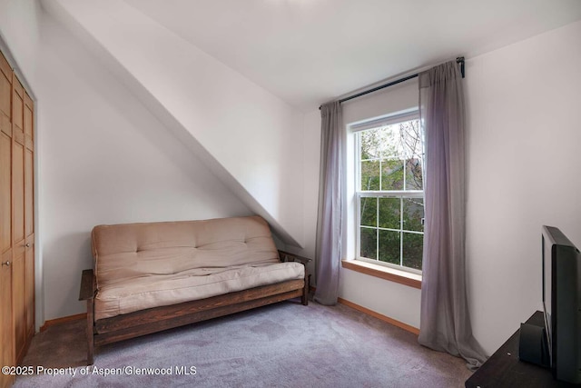 311 Sopris Cir, Basalt, CO 81621 - sitting room with carpet and baseboards