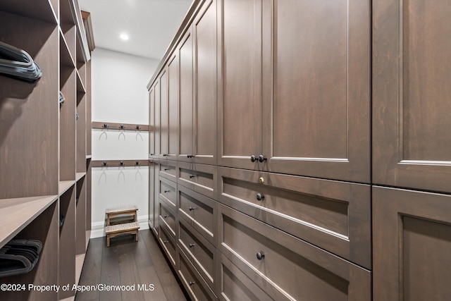 spacious closet featuring dark wood-style floors