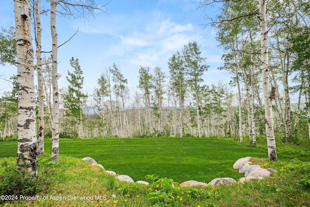 177 Stellar Ln, Snowmass Village, CO 81615 - view of green lawn