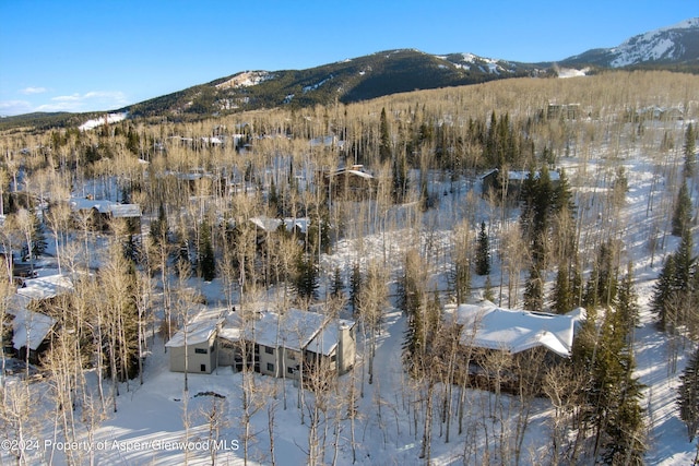 177 Stellar Ln, Snowmass Village, CO 81615 - view of mountain background