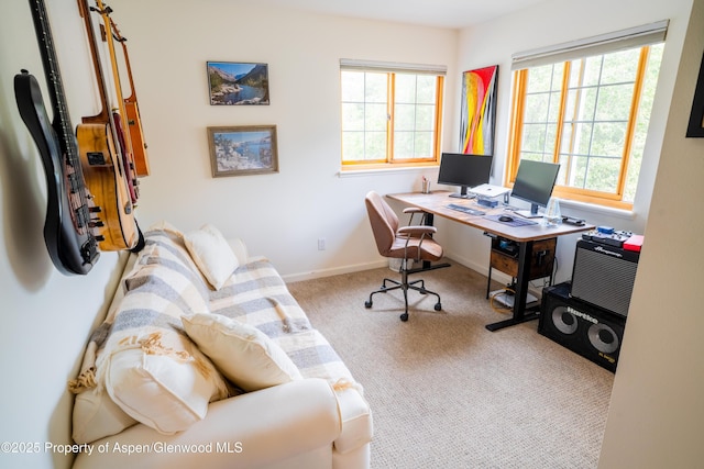 67 Rabbit Rd, Carbondale, CO 81623 - photo 19