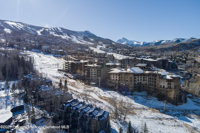 130 Wood Rd Unit 660-662, Snowmass Village, CO 81615 - mountain view