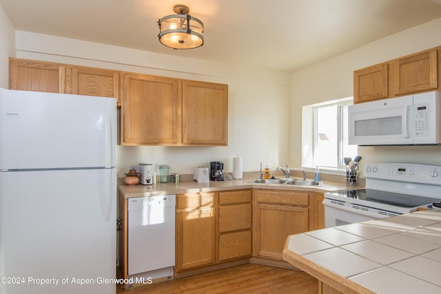 1900 County Road 103, Carbondale, CO 81623 - photo 50