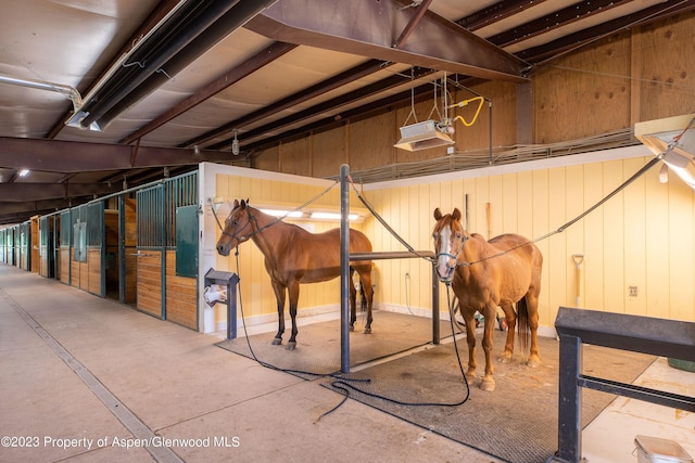 1900 County Road 103, Carbondale, CO 81623 - photo 22