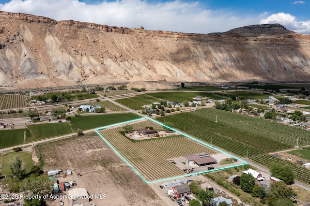 759 36 3/10 Rd, Palisade, CO 81526 - overview of rural landscape with property boundaries highlighted, a mountain backdrop, and rows of crops