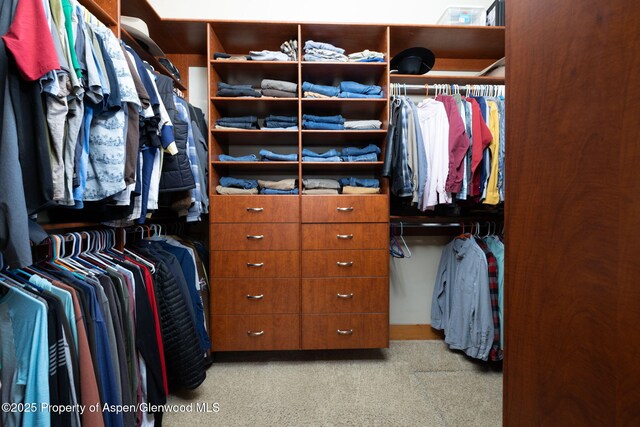 759 36 3/10 Rd, Palisade, CO 81526 - walk in closet with carpet