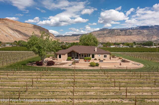 759 36 3/10 Rd, Palisade, CO 81526 - view of mountain background featuring rows of crops and rural landscape