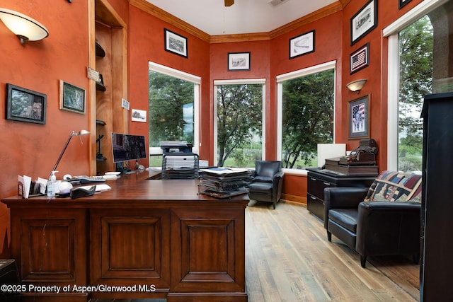 759 36 3/10 Rd, Palisade, CO 81526 - office space featuring light wood finished floors, plenty of natural light, a towering ceiling, ceiling fan, and crown molding