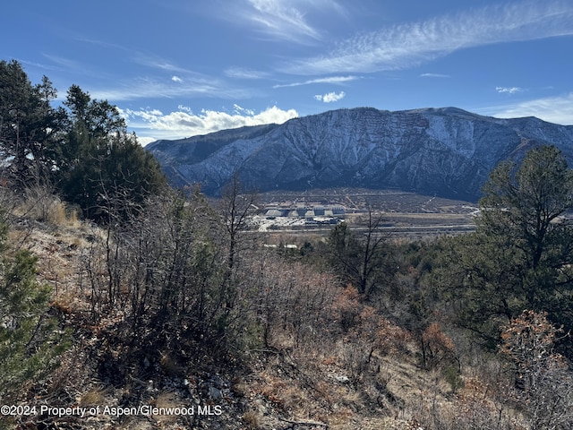 Listing photo 2 for 718 Silver Oak Dr, Glenwood Springs CO 81601