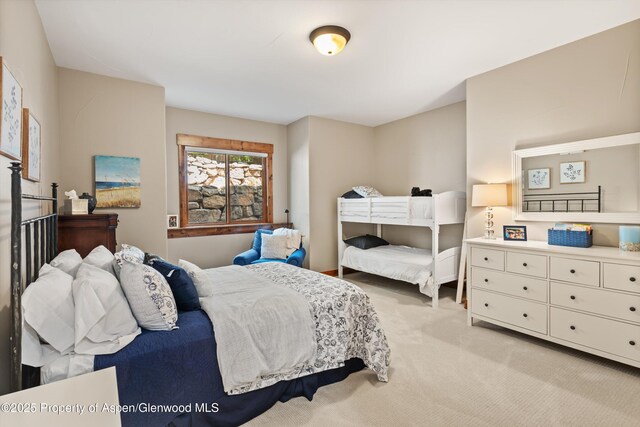 42 Crystal Canyon Dr, Carbondale, CO 81623 - photo 26