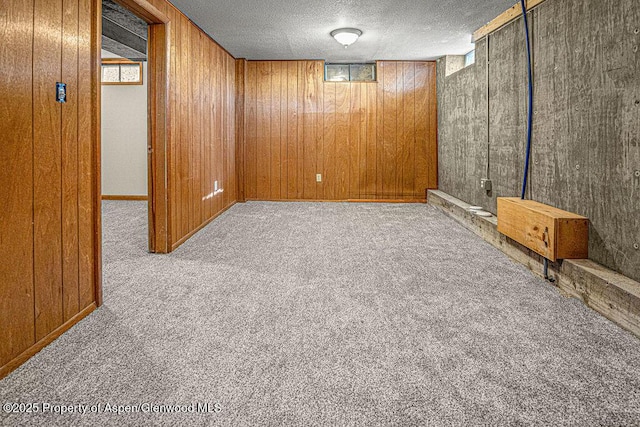 828 Taylor St, Craig, CO 81625 - below grade area with a textured ceiling, wood walls, and carpet floors