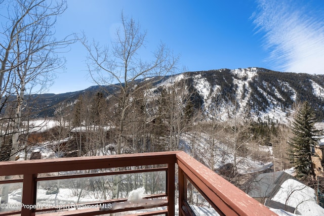 0184 Mountain Laurel Dr, Aspen, CO 81611 - mountain view