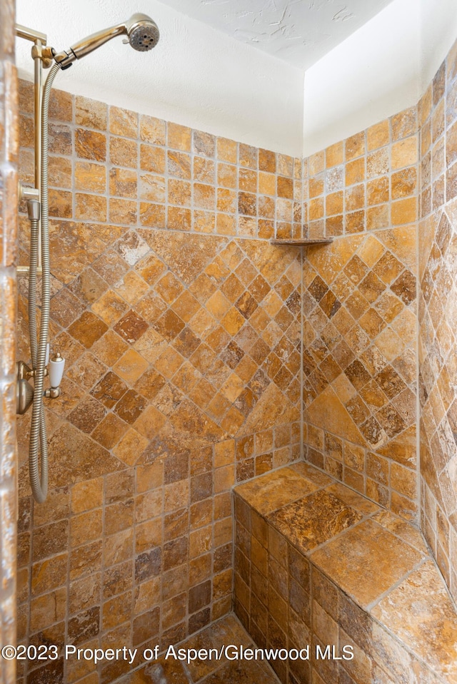 0184 Mountain Laurel Dr, Aspen, CO 81611 - bathroom featuring a tile shower