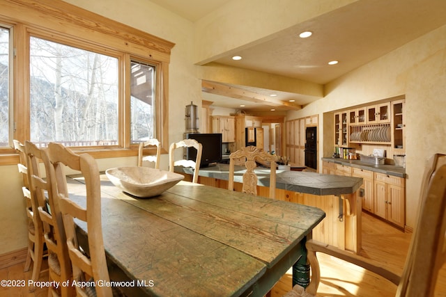 dining area with light hardwood / wood-style flooring