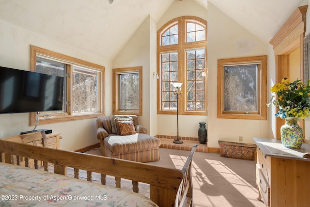 bedroom featuring high vaulted ceiling