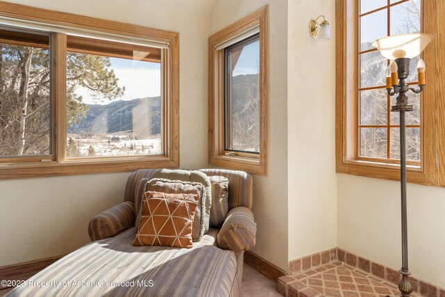 living area featuring a mountain view