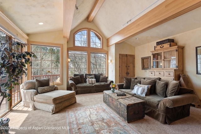 0184 Mountain Laurel Dr, Aspen, CO 81611 - carpeted living room featuring lofted ceiling with beams