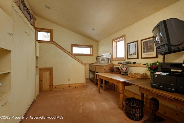 0184 Mountain Laurel Dr, Aspen, CO 81611 - office with lofted ceiling and light carpet