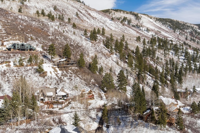 view of mountain feature