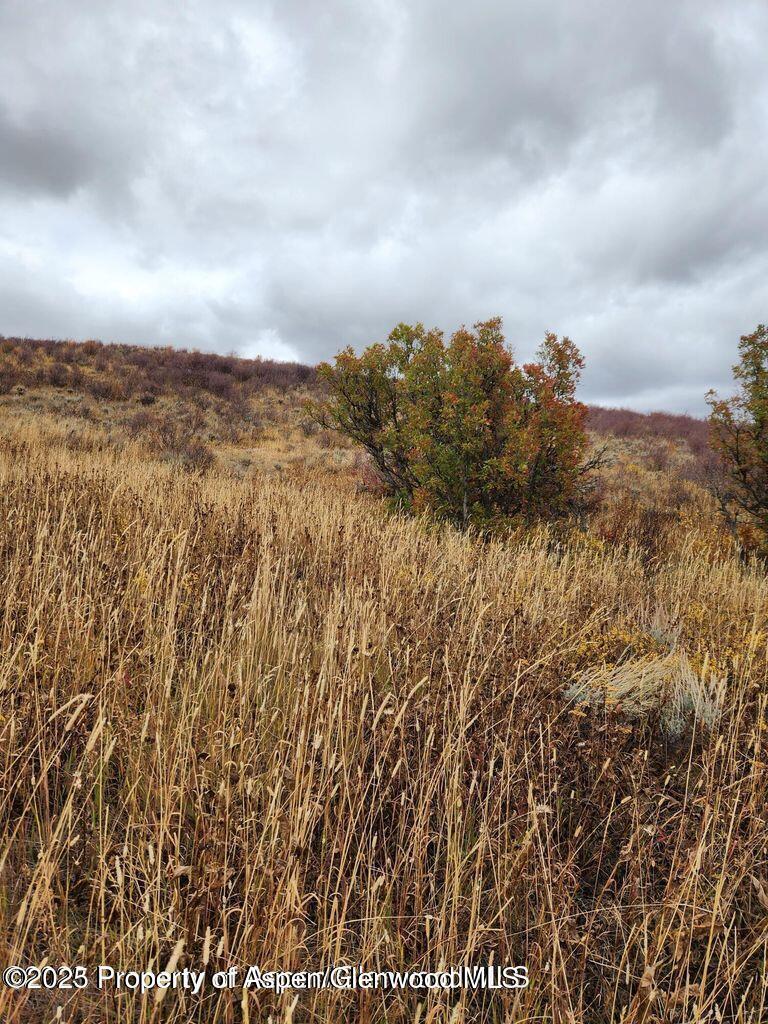 954 Sprout Dr, Craig, CO 81625