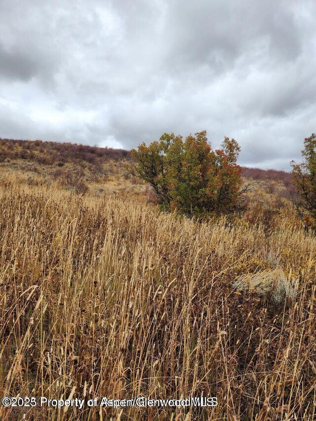 954 Sprout Dr, Craig, CO 81625