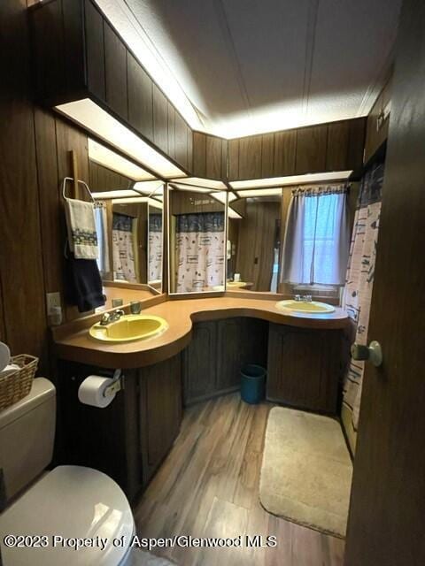 84 Veatch Ave, Maybell, CO 81640 - bathroom featuring wood-type flooring, toilet, wood walls, and sink