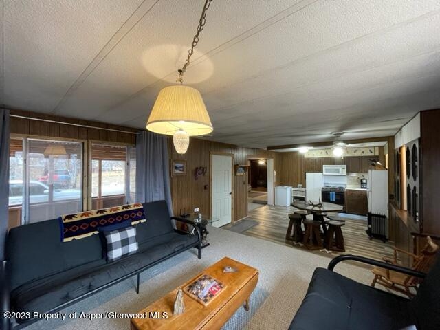84 Veatch Ave, Maybell, CO 81640 - living room featuring ceiling fan, wood walls, and a textured ceiling