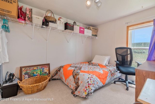 400 Behrman St, Craig, CO 81625 - view of carpeted bedroom