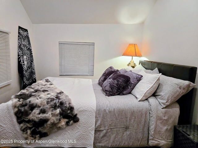 1026 Palmer Ave, Glenwood Springs, CO 81601 - bedroom featuring lofted ceiling