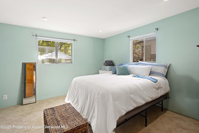 1026 Palmer Ave, Glenwood Springs, CO 81601 - view of carpeted bedroom
