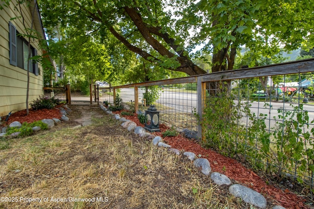 1026 Palmer Ave, Glenwood Springs, CO 81601 - view of yard