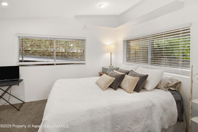 1026 Palmer Ave, Glenwood Springs, CO 81601 - carpeted bedroom with recessed lighting