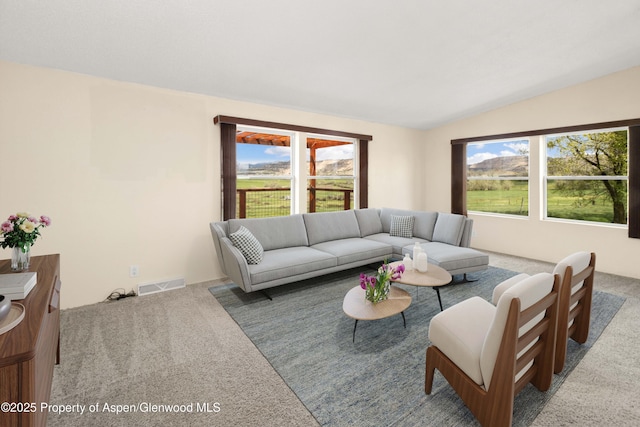 233 County Road 265, Rifle, CO 81650 - carpeted living room with visible vents and vaulted ceiling