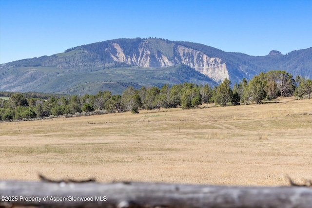 7781 County Road 320, Rifle, CO 81650 - photo 81