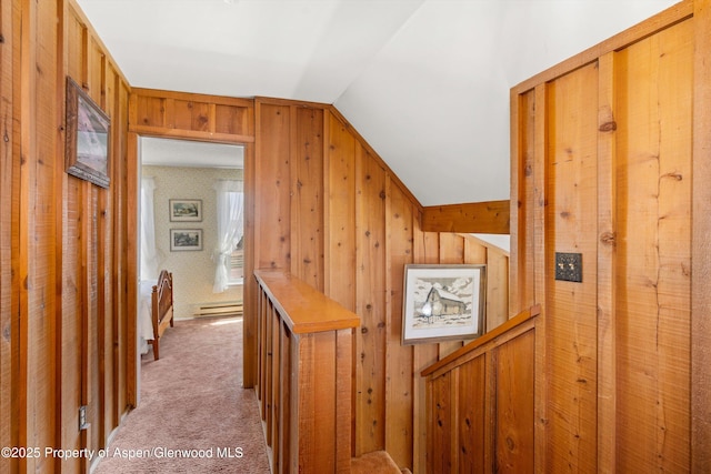 7781 County Road 320, Rifle, CO 81650 - photo 28