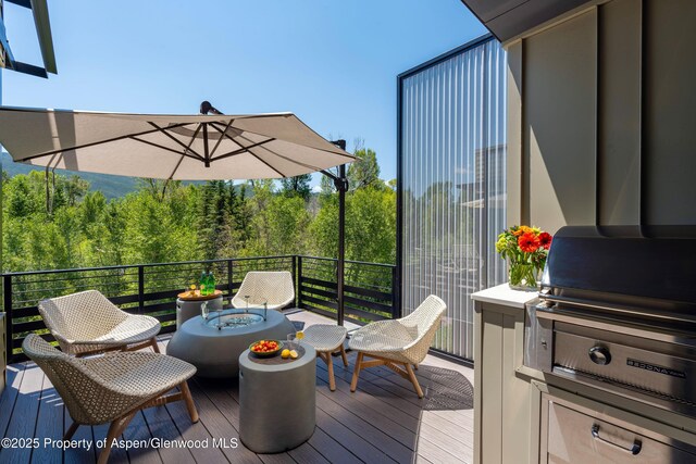 22856 Two Rivers Rd, Basalt, CO 81621 - photo 8