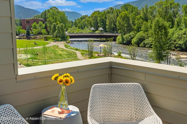 22856 Two Rivers Rd, Basalt, CO 81621 - photo 14