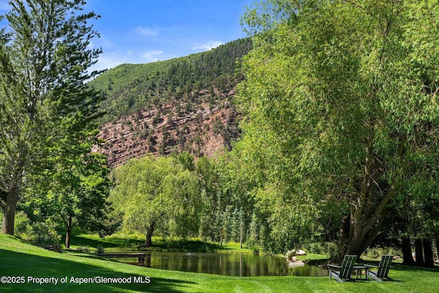 2755 Lower River Rd, Snowmass, CO 81654 - mountain view with a nearby body of water and a heavily wooded area