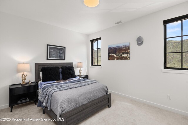 603 Little Cloud, New Castle, CO 81647 - photo 17