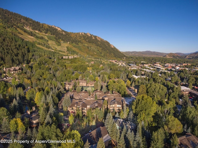 610 S W End St Unit K102, Aspen, CO 81611 - photo 19