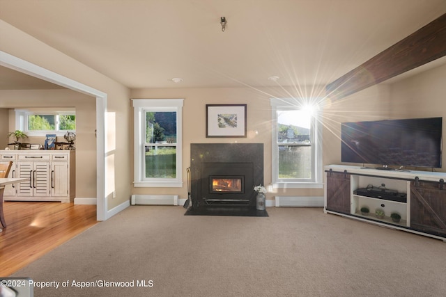 living area with a fireplace with flush hearth, light colored carpet, a healthy amount of sunlight, and baseboards