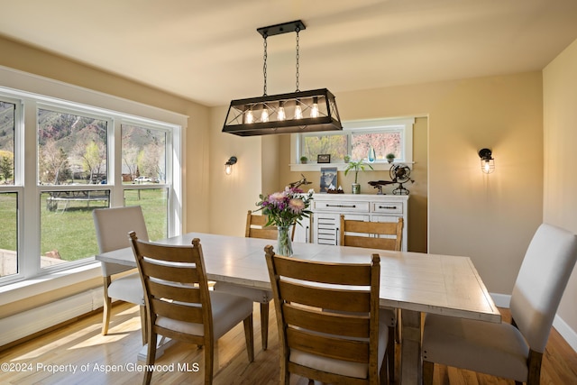 dining room with a healthy amount of sunlight, baseboards, and wood finished floors