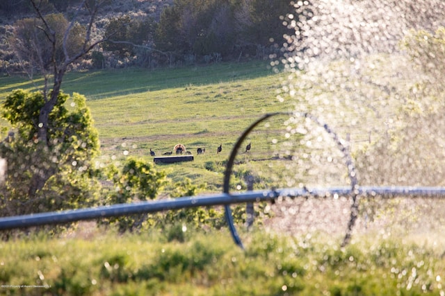 view of yard featuring a rural view