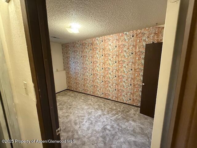 872 Russell St, Craig, CO 81625 - empty room featuring carpet floors and a textured ceiling