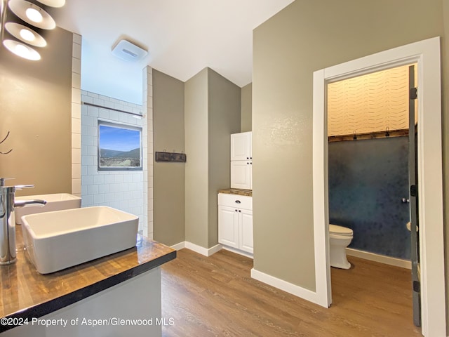 bathroom with hardwood / wood-style floors, vanity, and toilet