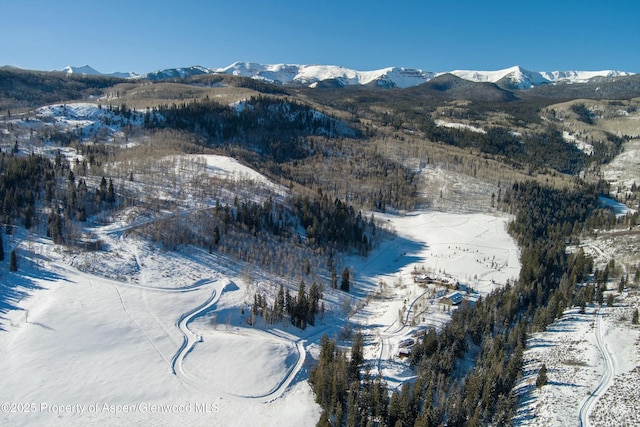 view of mountain feature