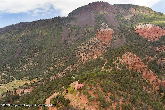 2800 Cedar Dr, Basalt, CO 81621 - mountain view